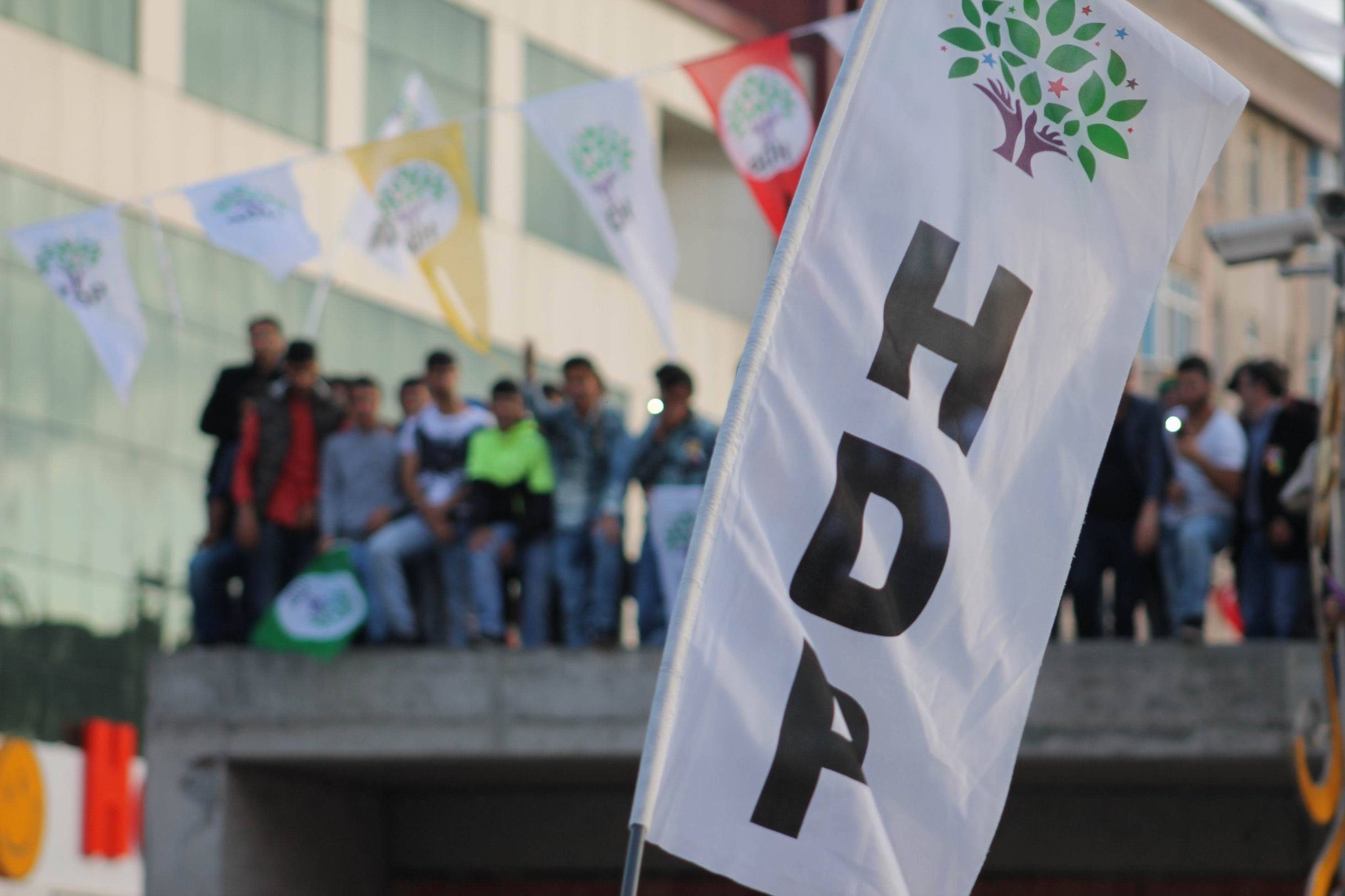 hdp_flag